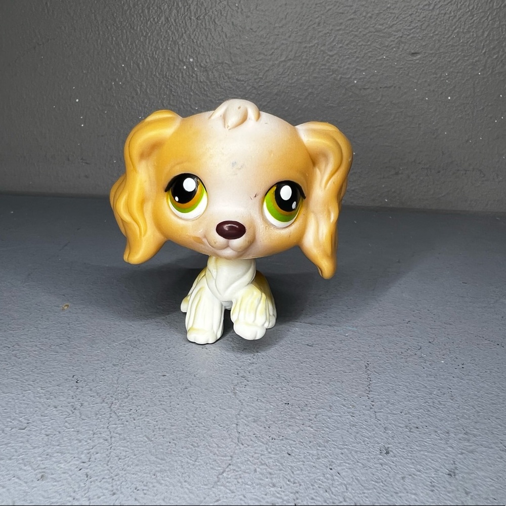 Lps cocker spaniel